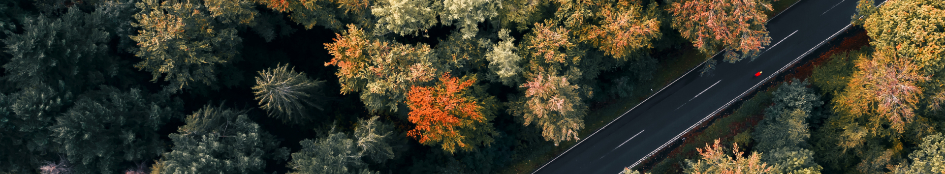 РОБОЧА ЗУСТРІЧ