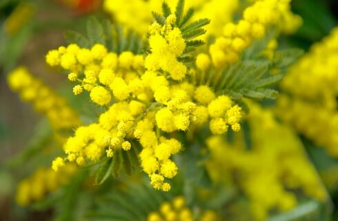 Шановні колеги-жінки, щиро вітаємо вас з 8-м Березня, з цим чудовим весняним святом. Бажаємо піднесеного настрою, впевненості в завтрашньому дні та родинного затишку!  Зі святом вас, наші любі жінки!