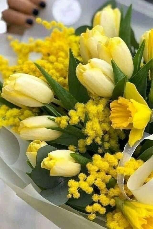 З МІЖНАРОДНИМ ДНЕМ БОРОТЬБИ ЗА ПРАВА ЖІНОК